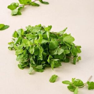 Pudina (Mint)